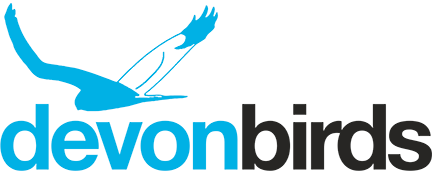 Devon Birds logo